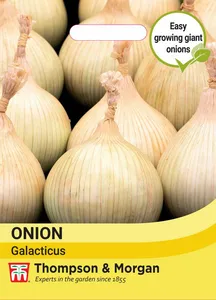 Onion Galacticus - image 1