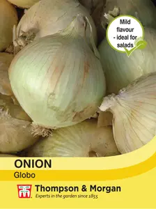 Onion Globo - image 1
