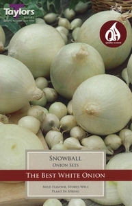 Onion Snowball