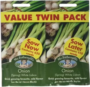 Onion (Spring) White Lisbon Bumper Pack - image 1