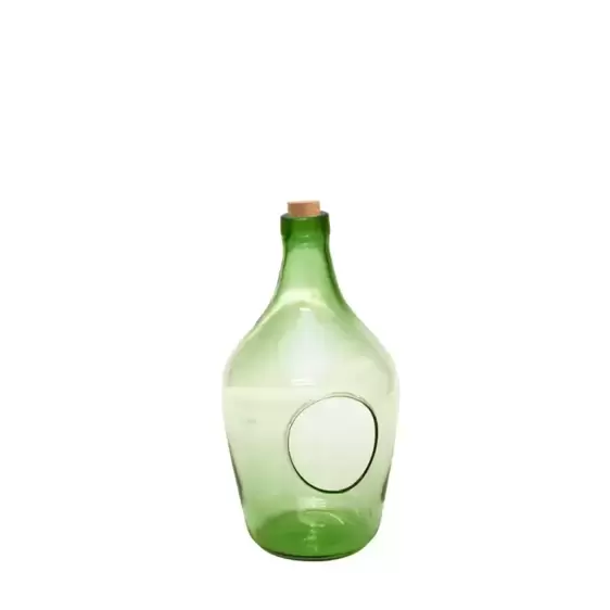Open Bottle Terrarium 3L - image 1