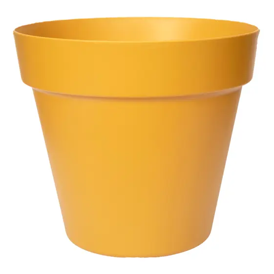 Paris Mustard Pot 60cm