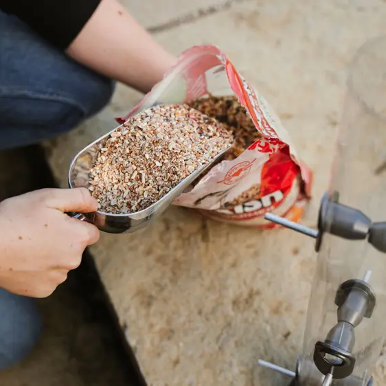 Peckish Metal Bird Food Scoop - image 2