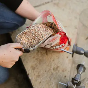 Peckish Metal Bird Food Scoop - image 2