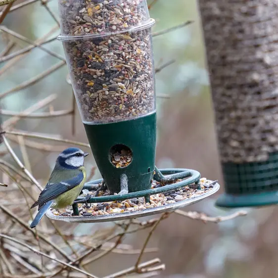 Peckish Three Port Multi Seed Feeder - image 3