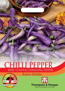 Pepper (Chilli) Buena Mulata - image 1