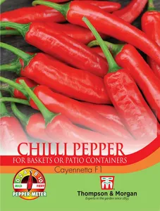 Pepper (Chilli) Cayennetta - image 1