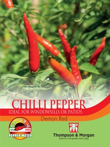 Pepper (Chilli) Demon Red - image 1