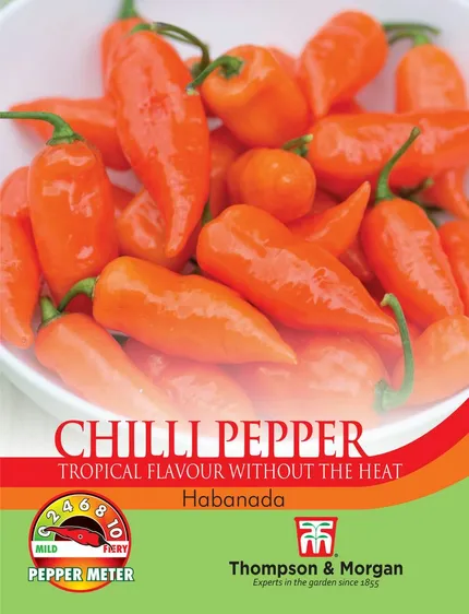Pepper (Chilli) Habanada - image 1