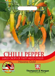 Pepper (Chilli) Havana Gold - image 1