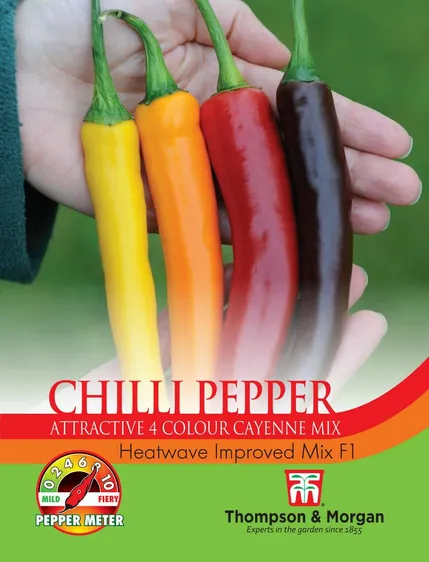 Pepper (Chilli) Heatwave Improved Mix F1 - image 1