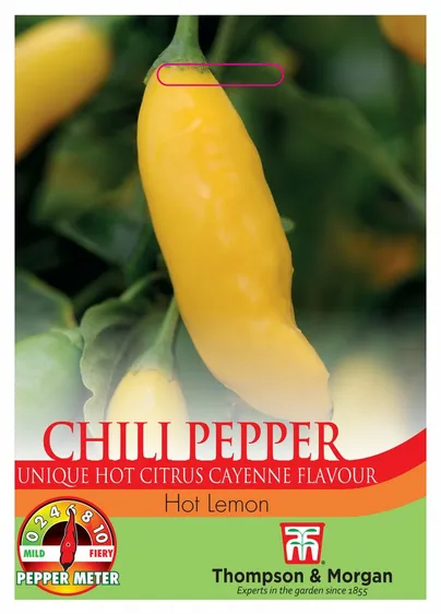 Pepper (Chilli) Hot Lemon - image 1