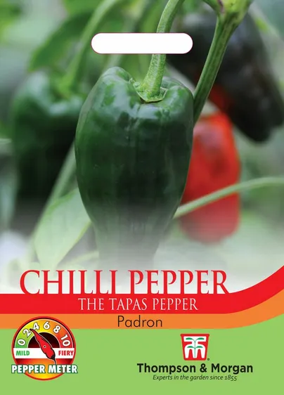 Pepper (Chilli) Padron - image 1