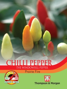 Pepper (Chilli) Prairie Fire - image 1