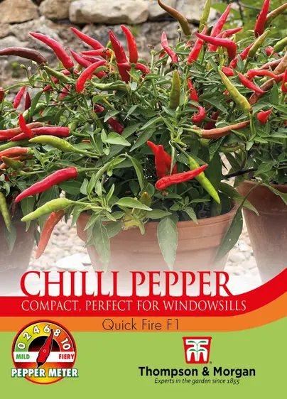 Pepper (Chilli) Quick Fire F1 - image 1