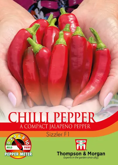 Pepper (Chilli) Sizzler F1 - image 1