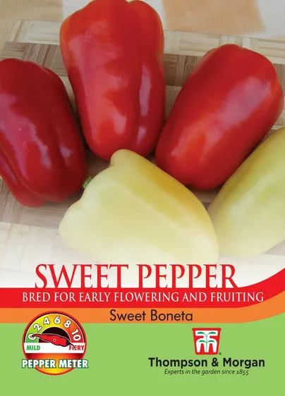 Pepper (Sweet) Boneta - image 1