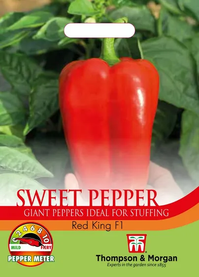 Pepper (Sweet) Red King F1 - image 1