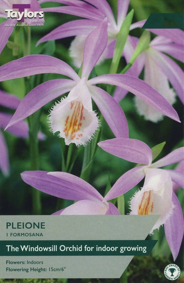 Pleione formosana