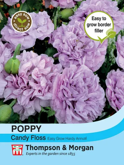 Poppy Candy Floss - image 1