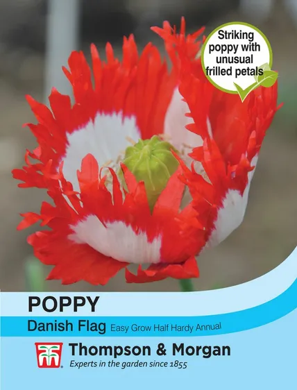 Poppy Danish Flag - image 1