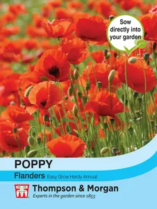 Poppy Flanders - image 1