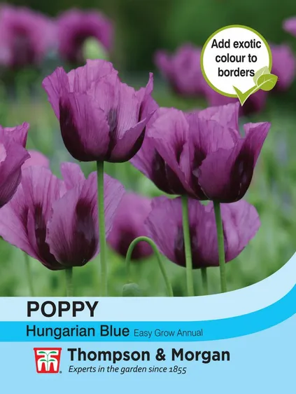 Poppy Hungarian Blue - image 1