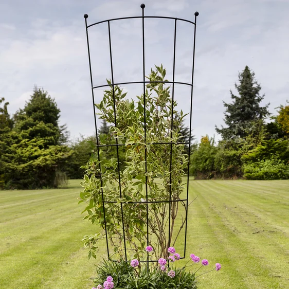 Pot & Planter Trellis - 150cm - image 1