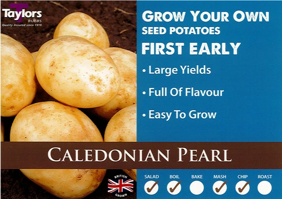 Potato Caledonian Pearl - 2kg