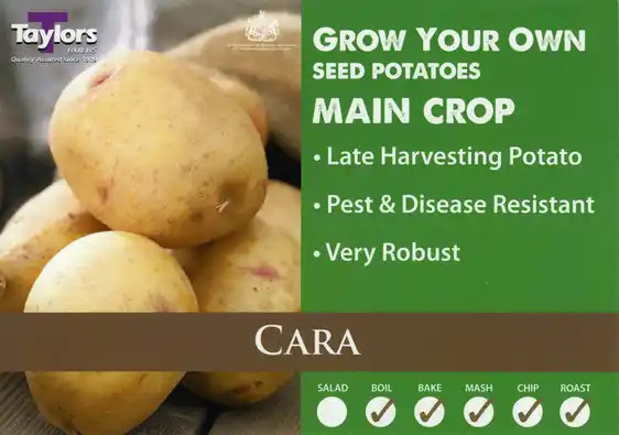 Potato Cara - 2kg