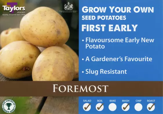 Potato Foremost - 2kg