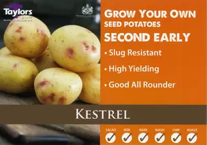 Potato Kestrel - 2kg