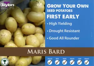 Potato Maris Bard - 2kg