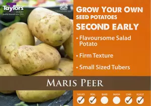 Potato Maris Peer - 2kg