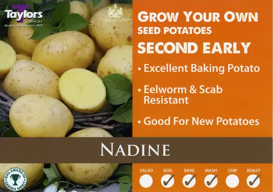 Potato Nadine - 2kg