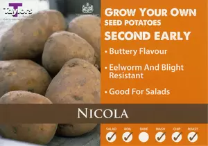 Potato Nicola - 2kg