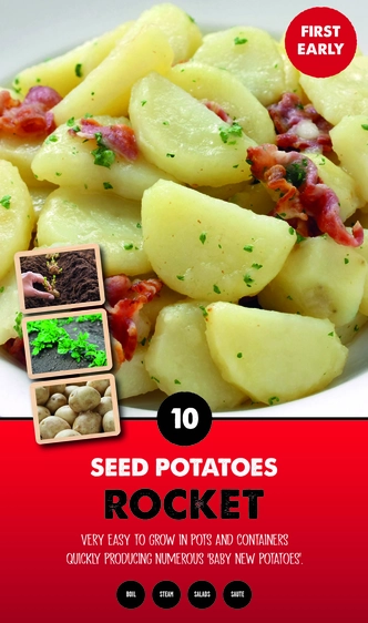 Potato Rocket - Taster Pack