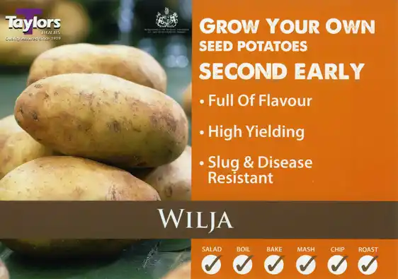 Potato Wilja - 2kg