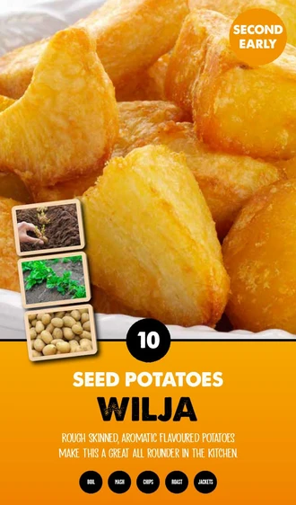 Potato Wilja - Taster Pack