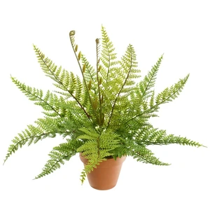 Potted Artificial Fern