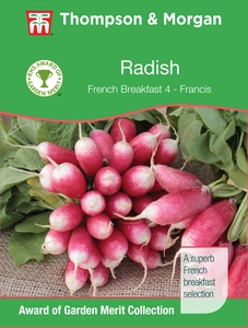 Radish French Breakfast 4 - Francis - image 1