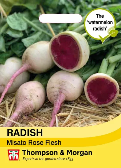Radish Misato Rose Flesh - image 1