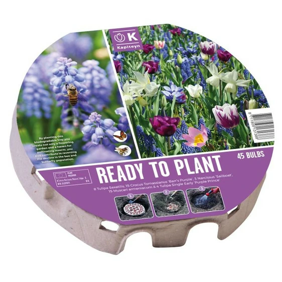 Ready To Plant Flowers For Pollinators Blue Bulb Tray - image 1