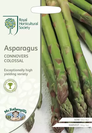 RHS Asparagus Connover's Colossal - image 1
