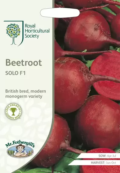 RHS Beetroot Solo F1 - image 1