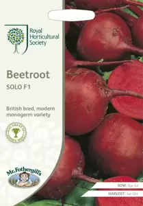 RHS Beetroot Solo F1 - image 1