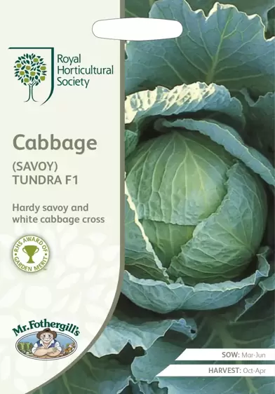 RHS Cabbage (Savoy) Tundra F1 - image 1
