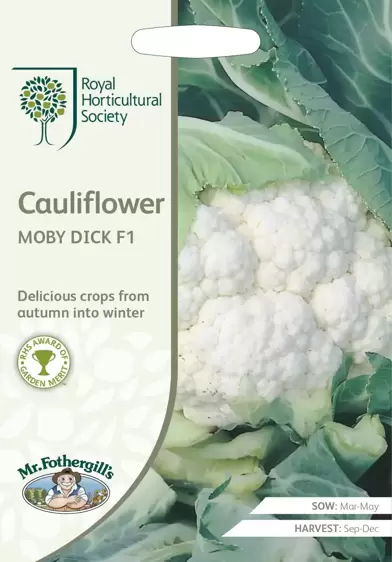 RHS Cauliflower Moby Dick F1 - image 1