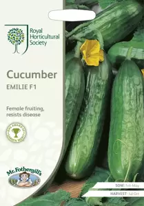 RHS Cucumber Emilie F1 - image 1