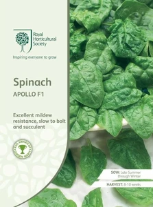 RHS Spinach Apollo F1